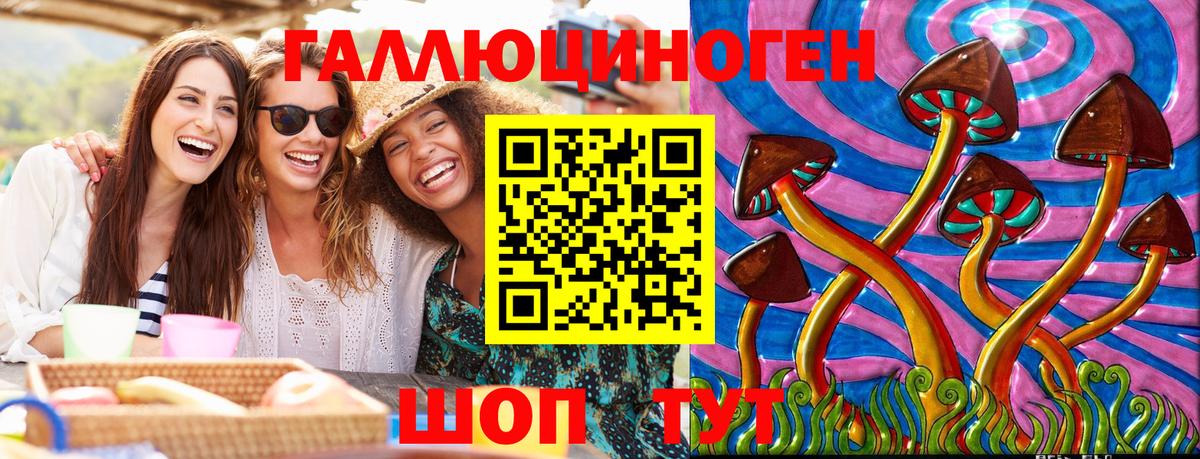 Невинномысск  Галлюциногенные грибы прущие грибы  Вход с VPN 
