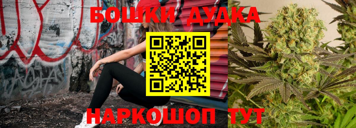 Каннабис индика Невинномысск